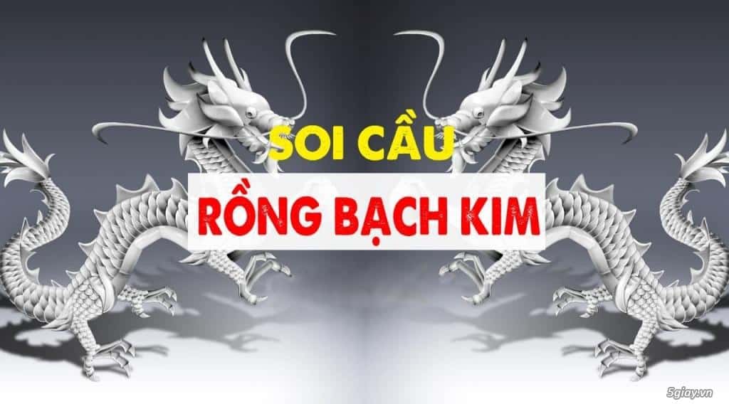 Giới thiệu về Soi cầu Rồng Bạch Kim